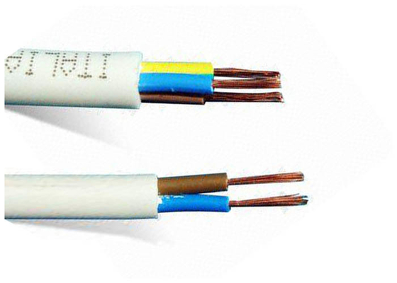 中国 適用範囲が広い銅のコンダクターは電線/電子ワイヤーおよびケーブルを絶縁しました サプライヤー