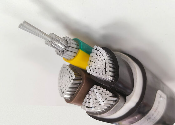 中国 Durable 0.6/1kV Aluminum PVC Insulated Cables for Reliable Low-Voltage Power Distribution サプライヤー