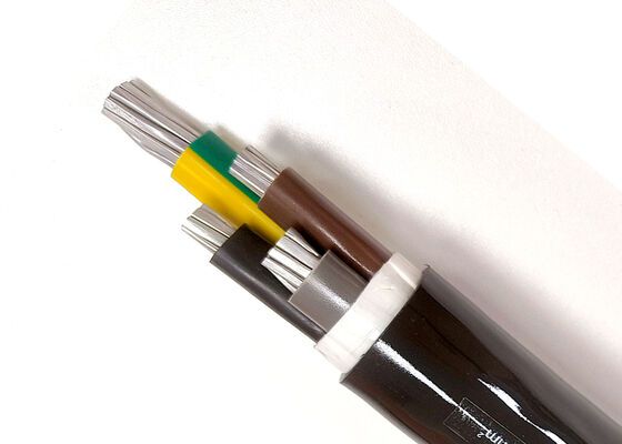 VV 3x16mm2 Oxygen-Free Copper PVC Insulated PVC Sheathed Power Cable for Indoor Installation 0.6/1kV サプライヤー