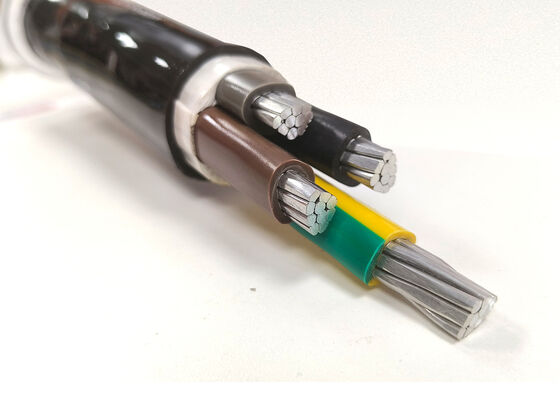 NYY-O 1x300mm2 Oxygen-Free Copper PVC Insulated Single Core Power Cable for Distribution 0.6/1kV サプライヤー