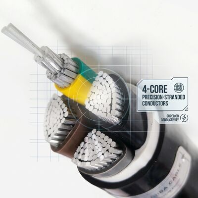 Waterproof Moisture Resistant PVC Insulated Cable 0.6/1kV 2 Core 2x4mm2 Outdoor Wet Area サプライヤー