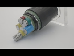 AWA SWA装甲銅の100mの長さポリ塩化ビニールは座礁させたケーブルをおおった