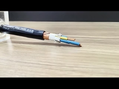 ポリビニル塩化物 隔離型ポリビニル塩化物 覆い銅制御ケーブル