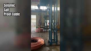 Shenghua 26 35kV ケーブル耐耐震性